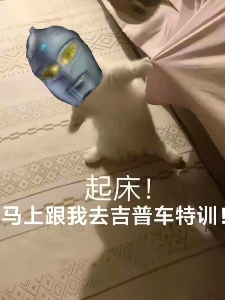 奥特,我的队友不太正常 封面