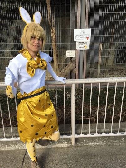 突然好同情那只薮猫