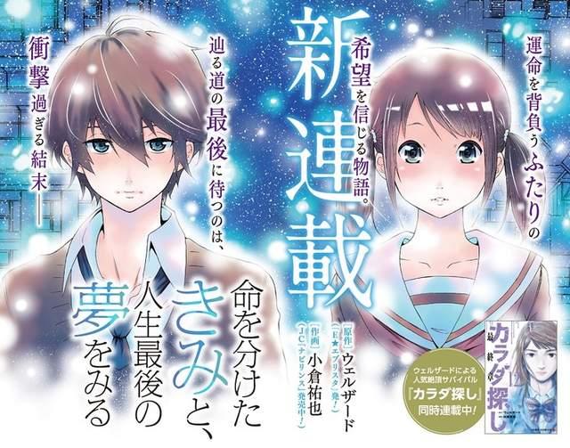 男主和女主共享生命