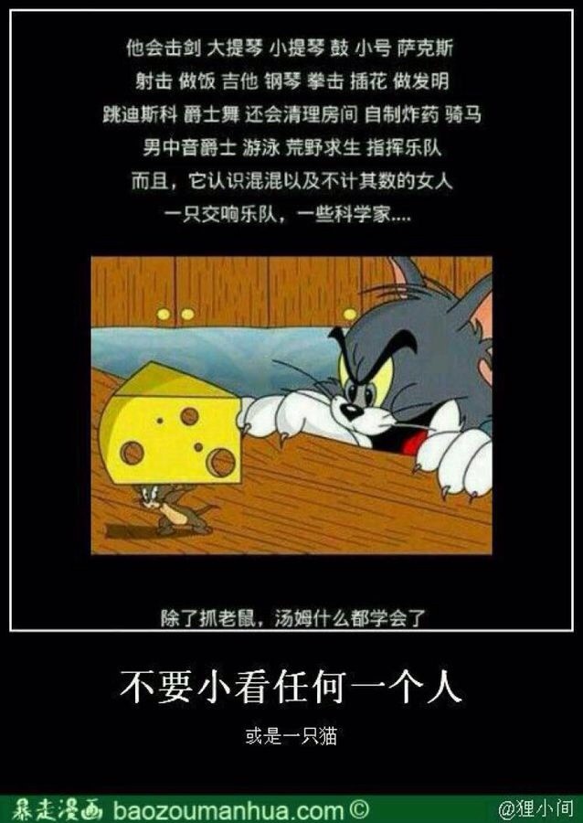 不要小看任何一只`猫