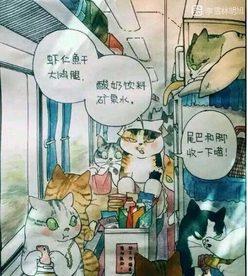 猫的车厢