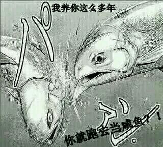 咸鱼！