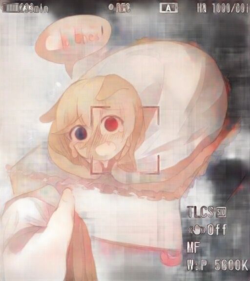 主人你手上是什么！？