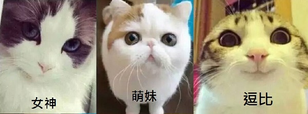 猜凯尔眼中的维多利加