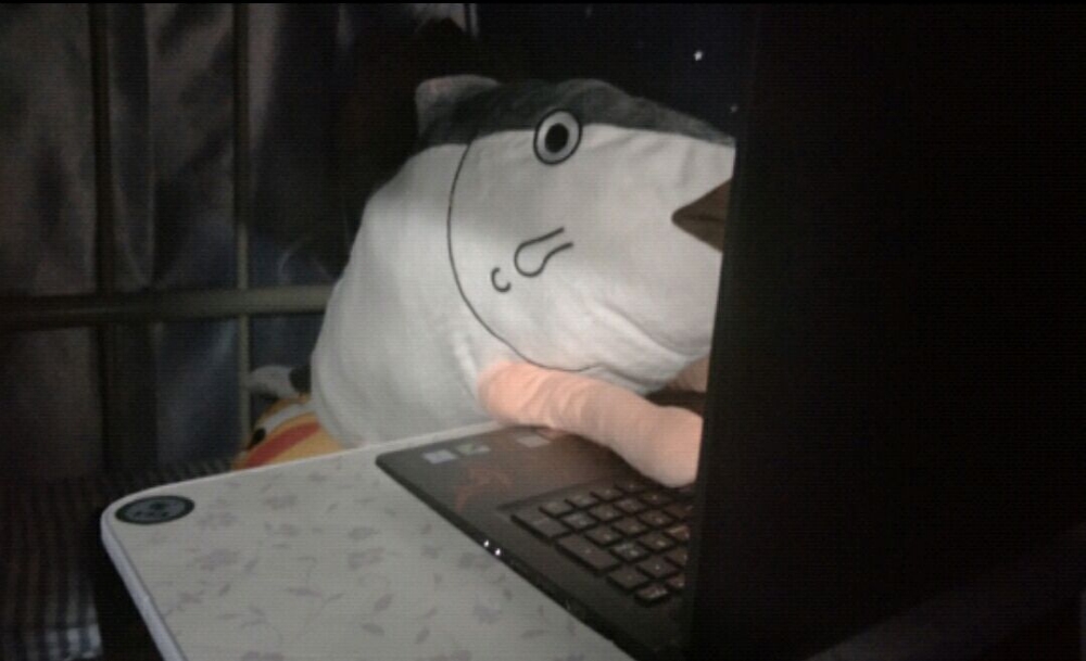 震惊！作者的真身居然