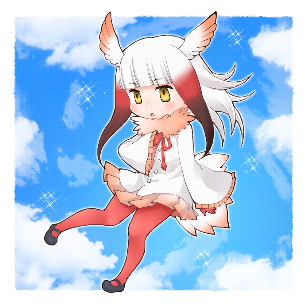 鸟类朋友的样子