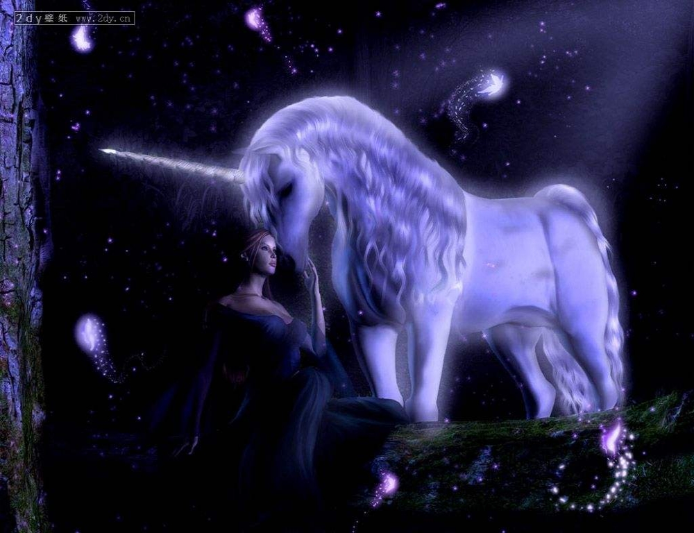 独角兽（唯美画风）