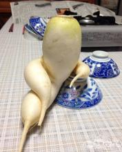 妖娆的萝卜