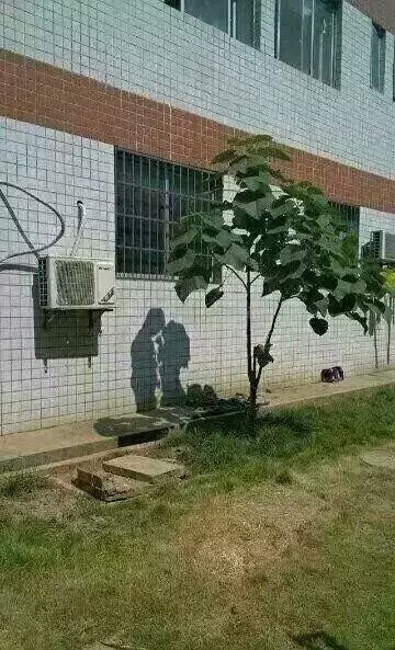 每日一图