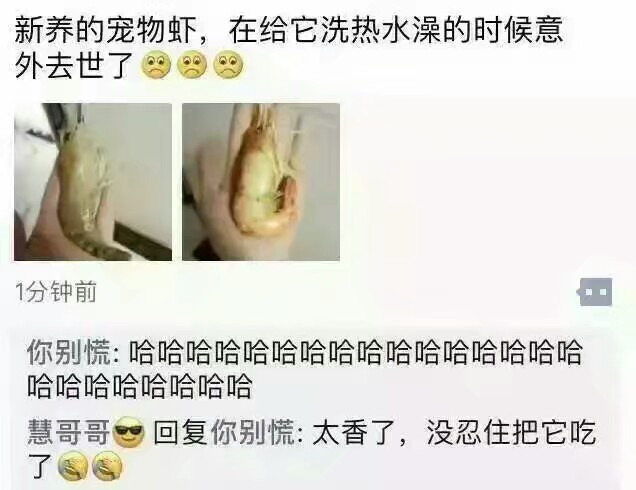 每日一图