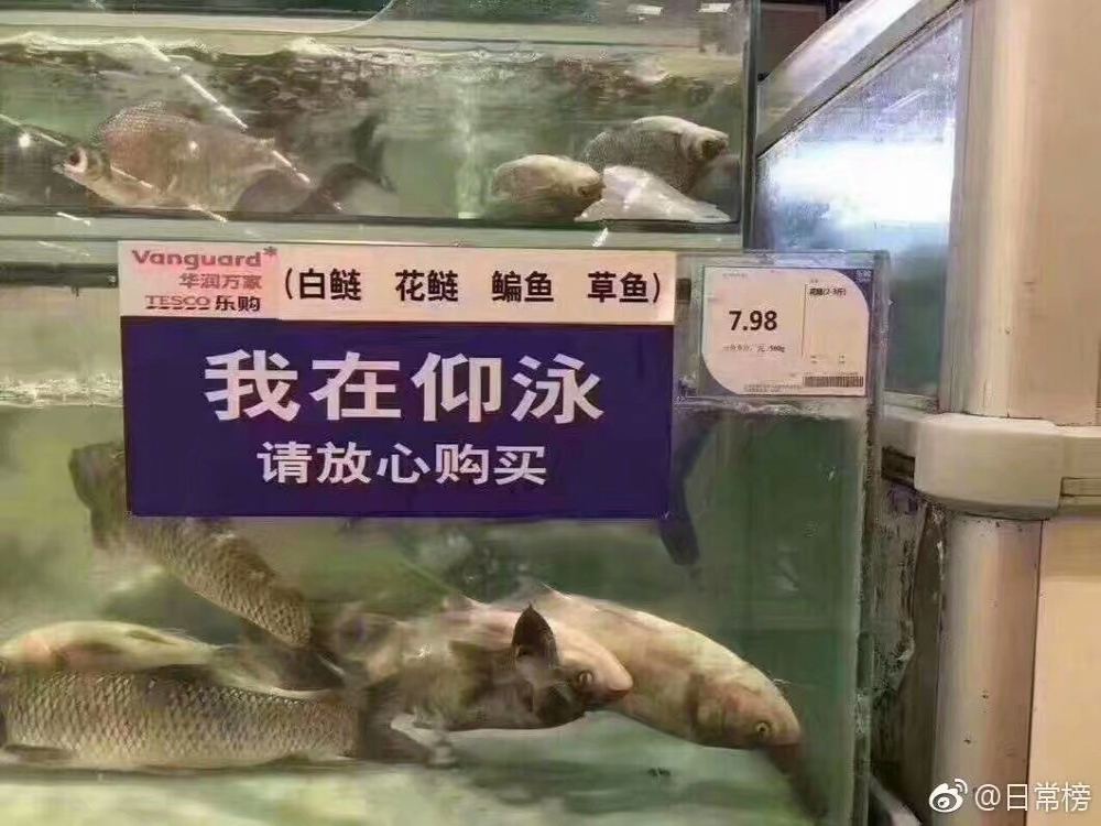 每日一图