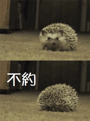 椒图，上吧！