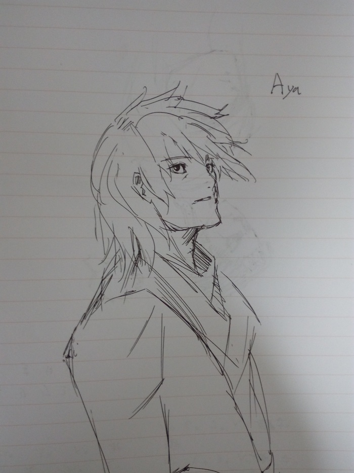 手绘的夏亚，大概