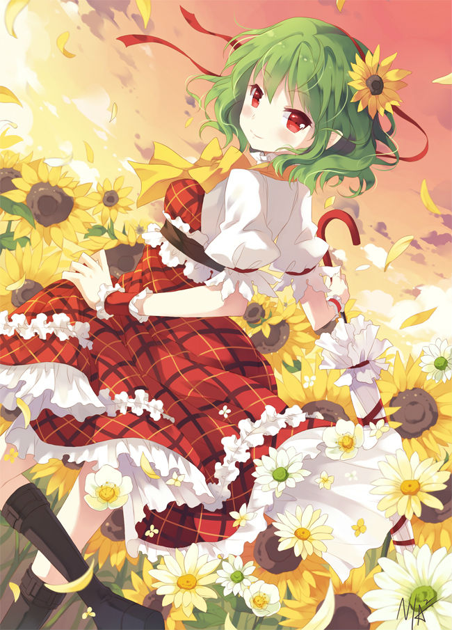 花中的风见幽香