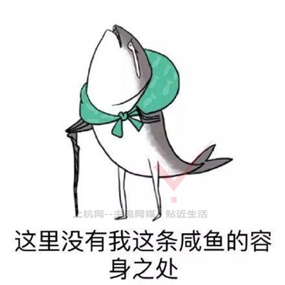 送你们一条咸鱼~