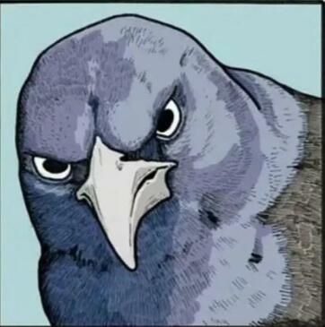 一般路的过小鸟