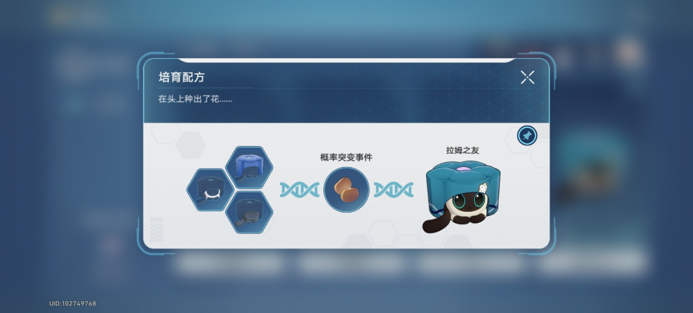 猫猫糕
