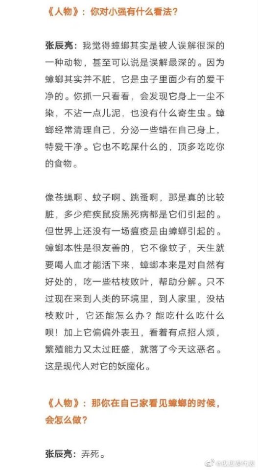 对蟑螂的看法