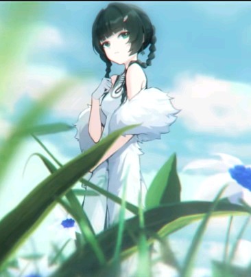 基本是这个样子