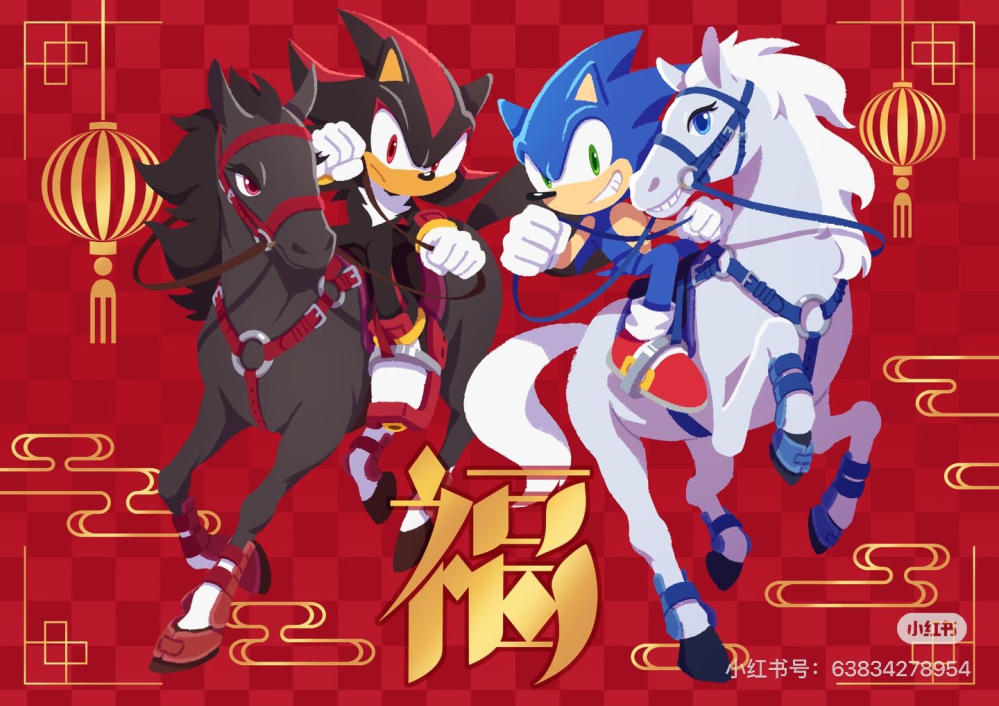 索尼克骑的算芦毛么（