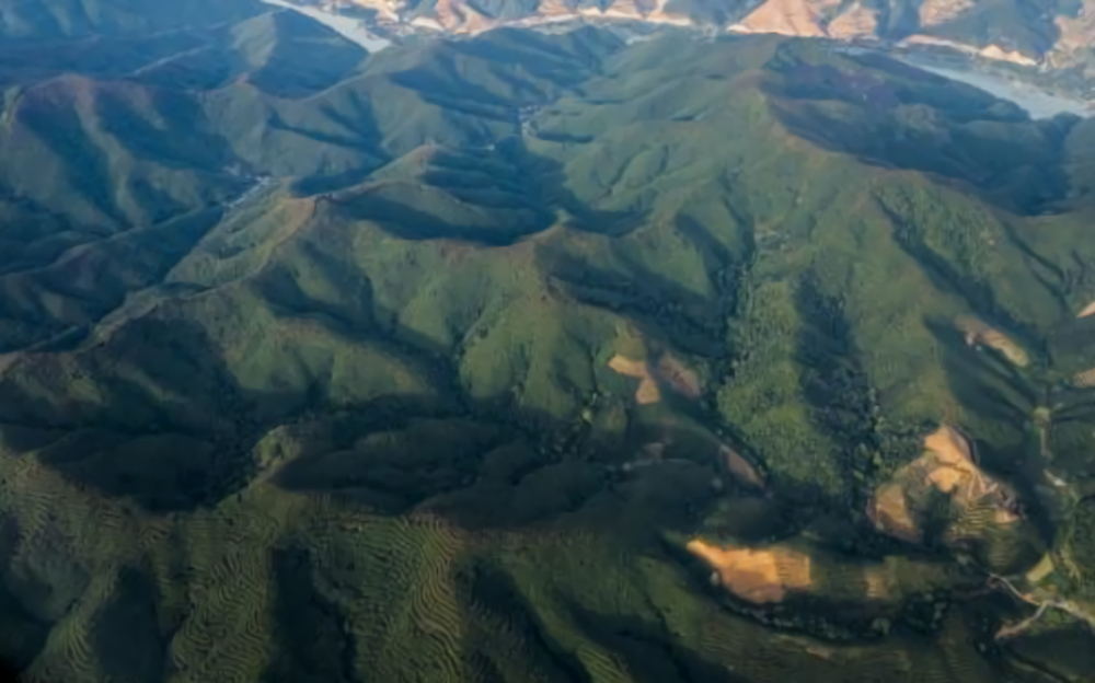 西双版纳野外风景