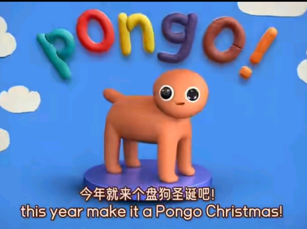 pongo
