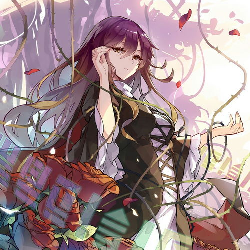 莲妈
