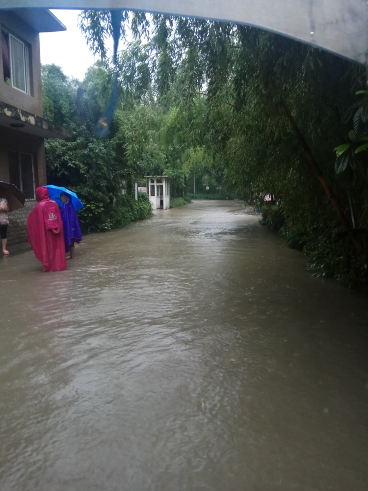 小区淹水图