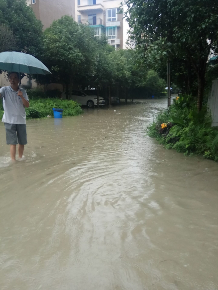 小区淹水图2