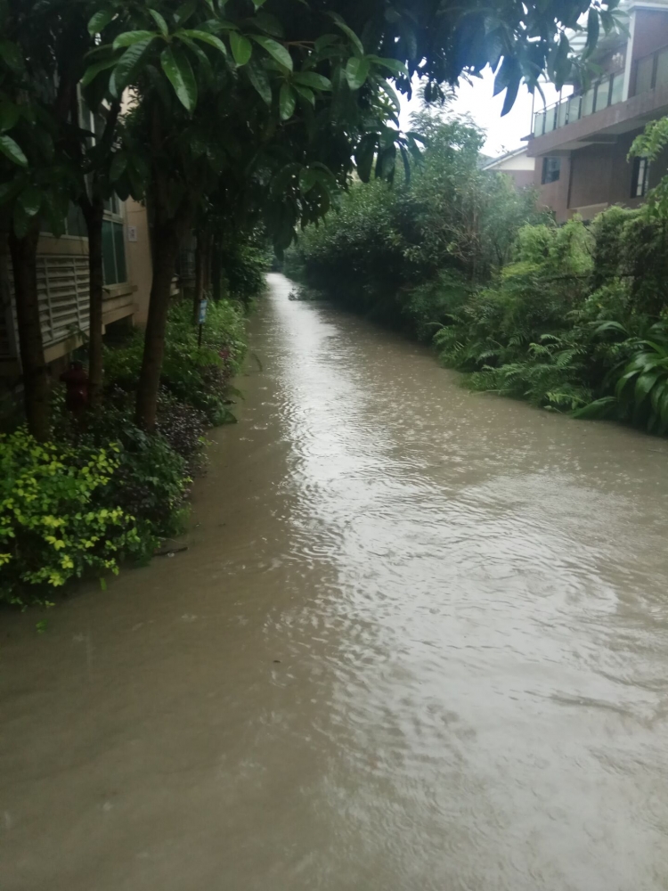 小区淹水图3