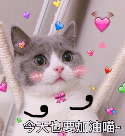 祝所有看官好运连连