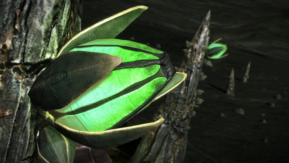 长在藤壶上的元合金