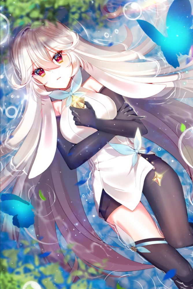 艾露迪