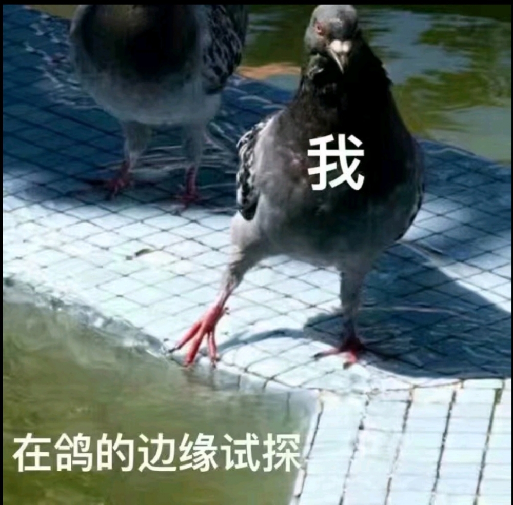 咕?