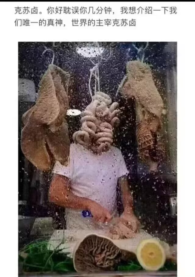 请容我介绍我的真主