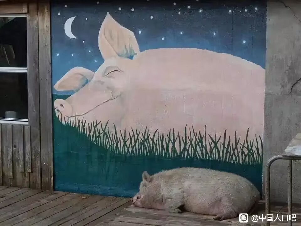 它好像比我幸福