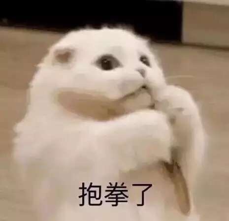 本猫肥来啦！