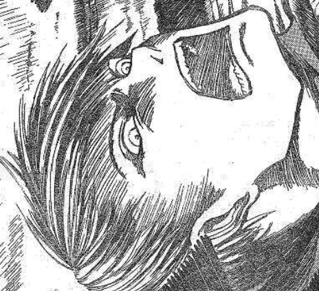 漫画看的不太像