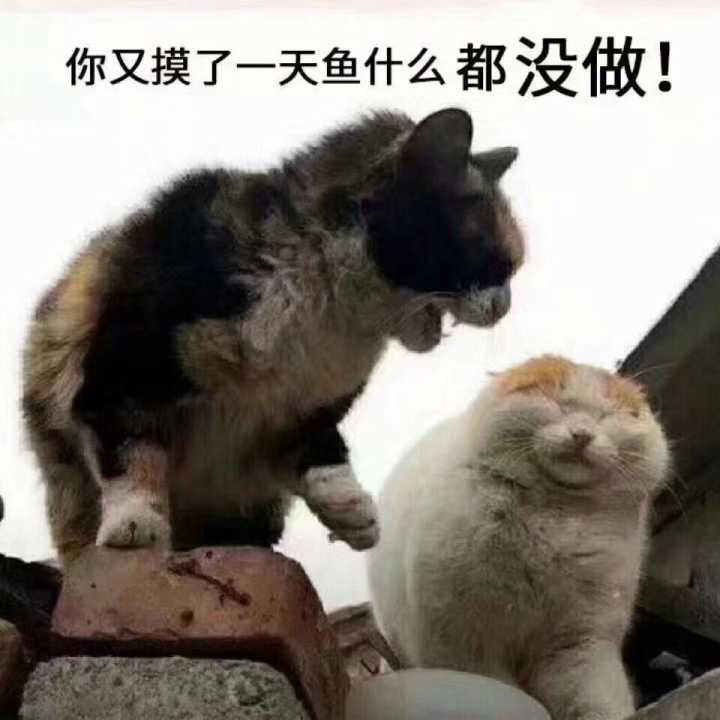 我绝对不再摸鱼了！