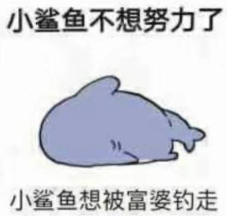 小鲨鱼