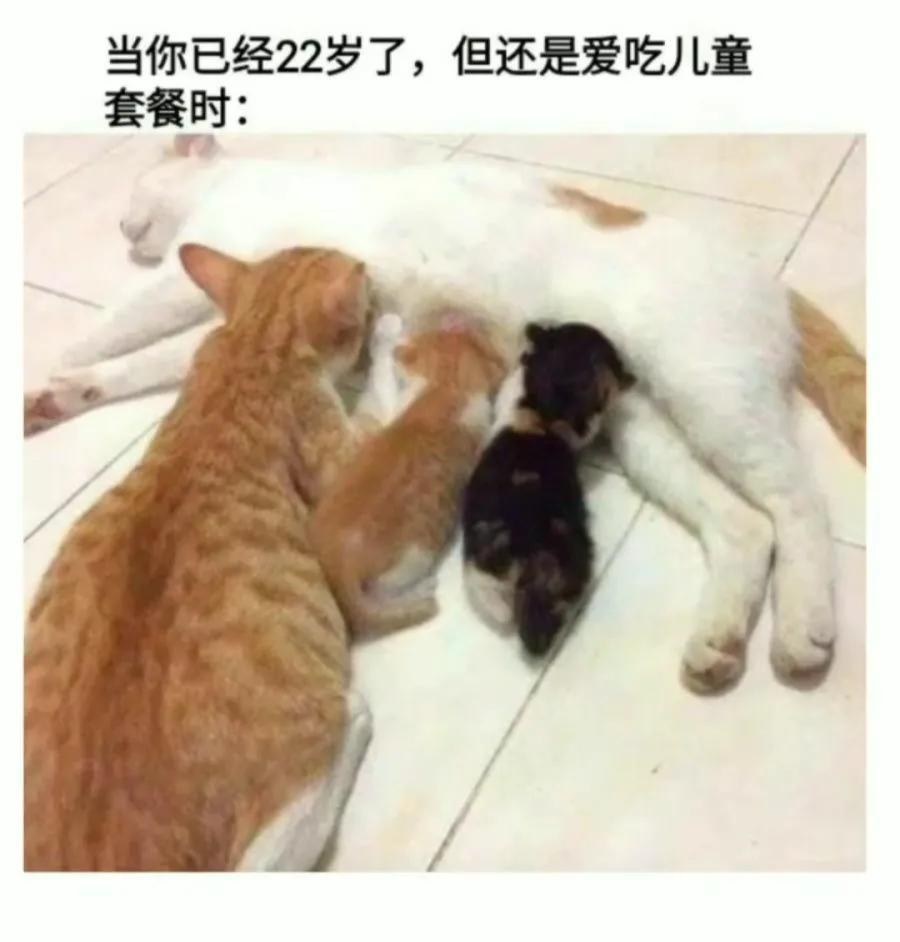 哈哈