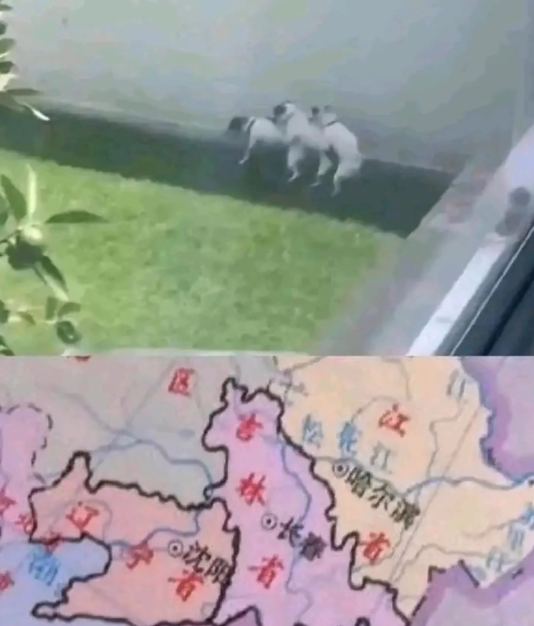 图