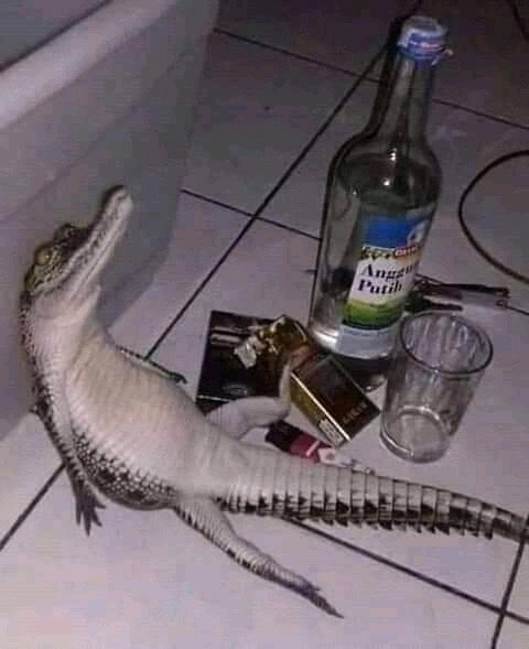 刚洗完澡的男人