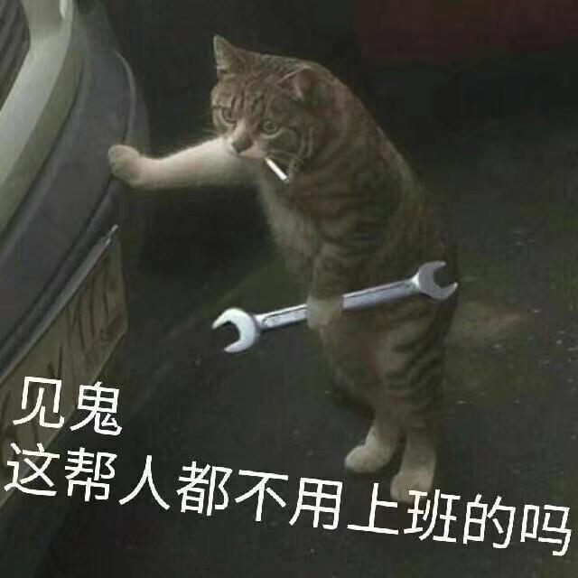 你们不上班吗？