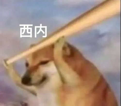 轻轻敲醒沉睡的心灵