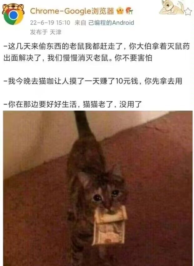 灵感*1