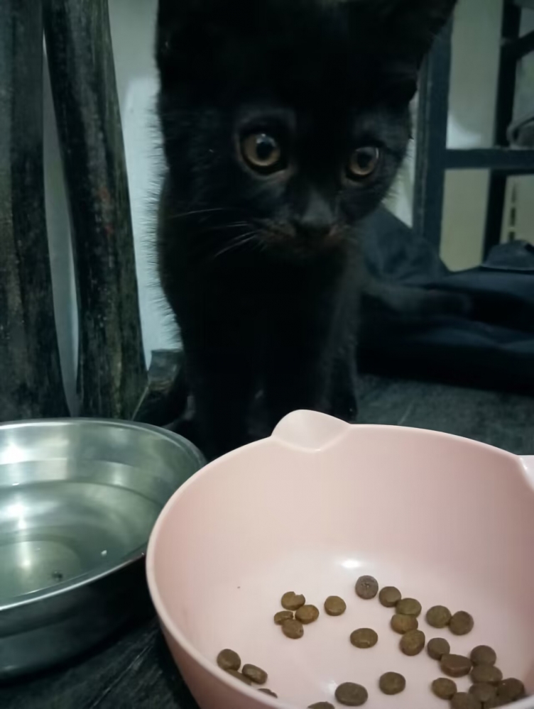 画风好像有点阴