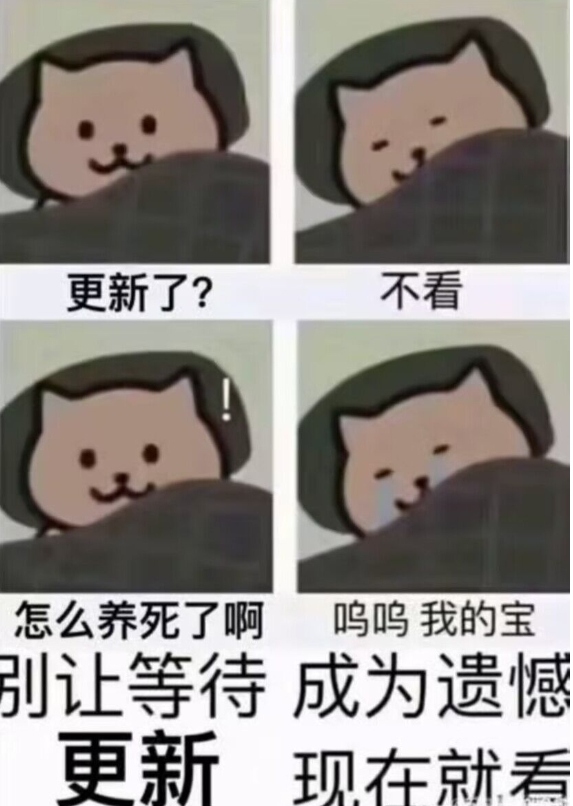 哦内盖