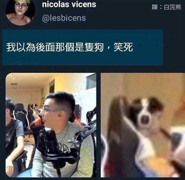 分享沙雕图片
