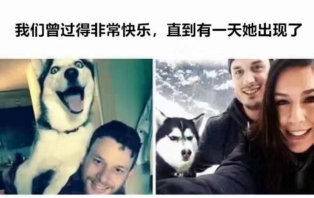 分享沙雕图